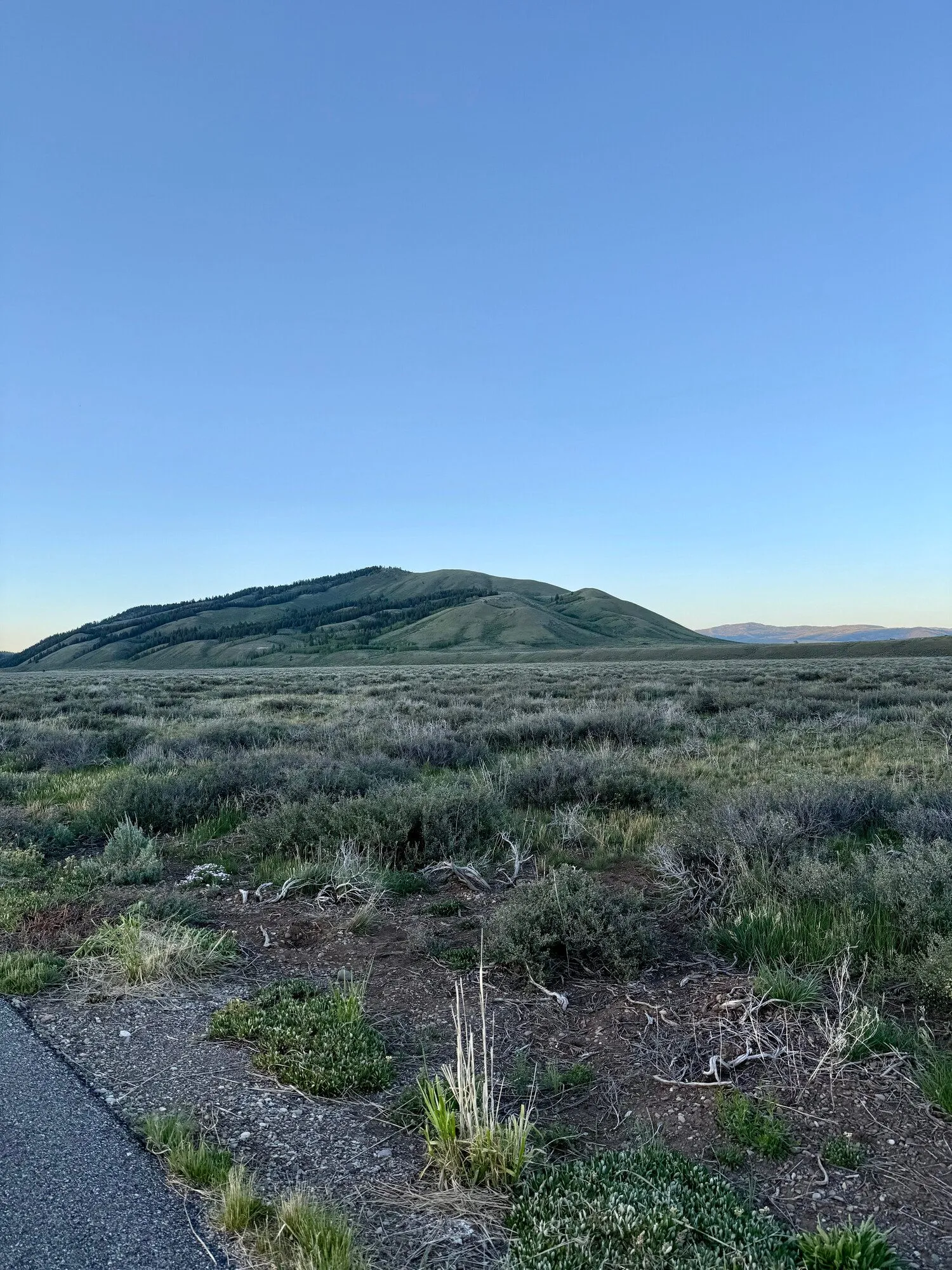 1-scenic.jpg