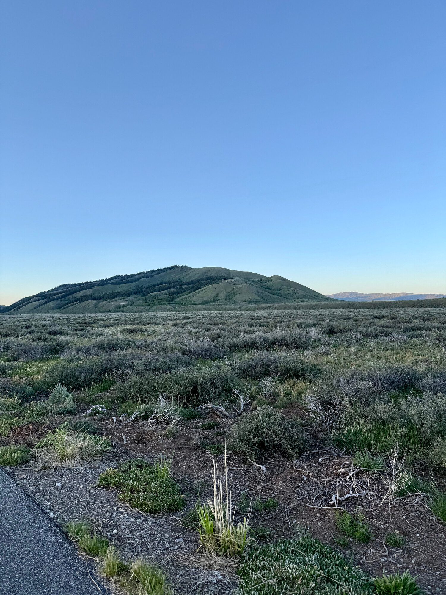 1-scenic.jpg
